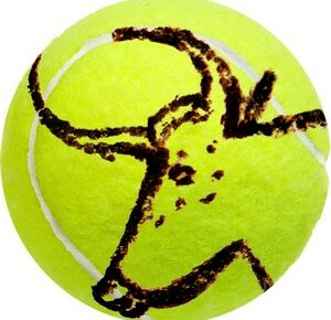 Tournoi de tennis