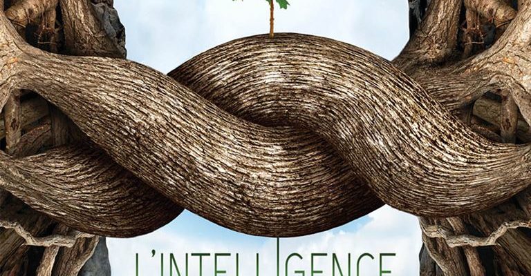 Ciné-débat « l’intelligence des arbres »