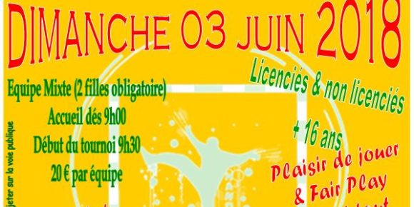 4ème Tournoi de handball adultes sur herbe : le cro-magnon