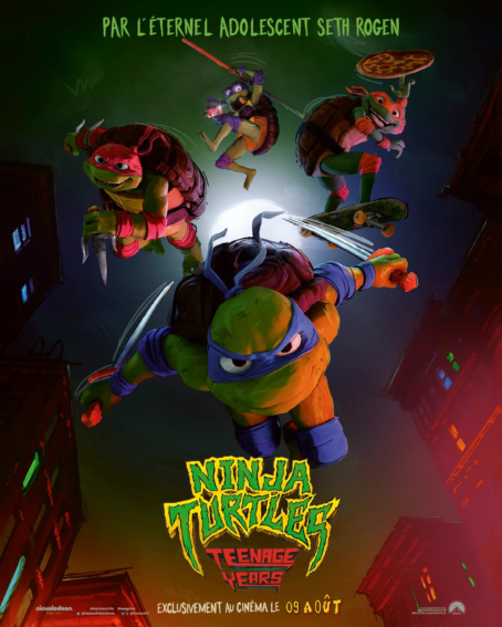 Ninja turtles : teenage years