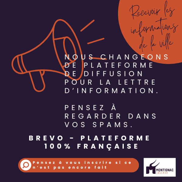 lettre d'information