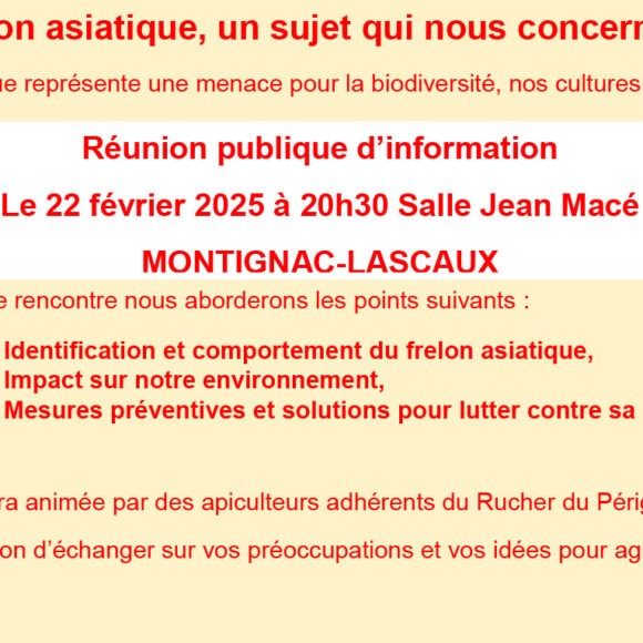 Réunion d’information – frelons asiatiques