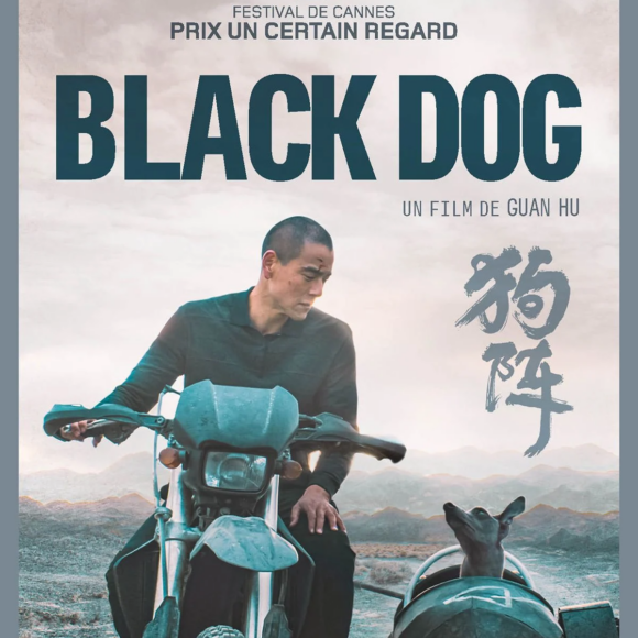 Black dog