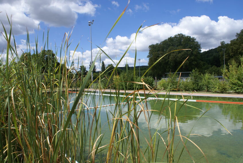 Baignade Biologique