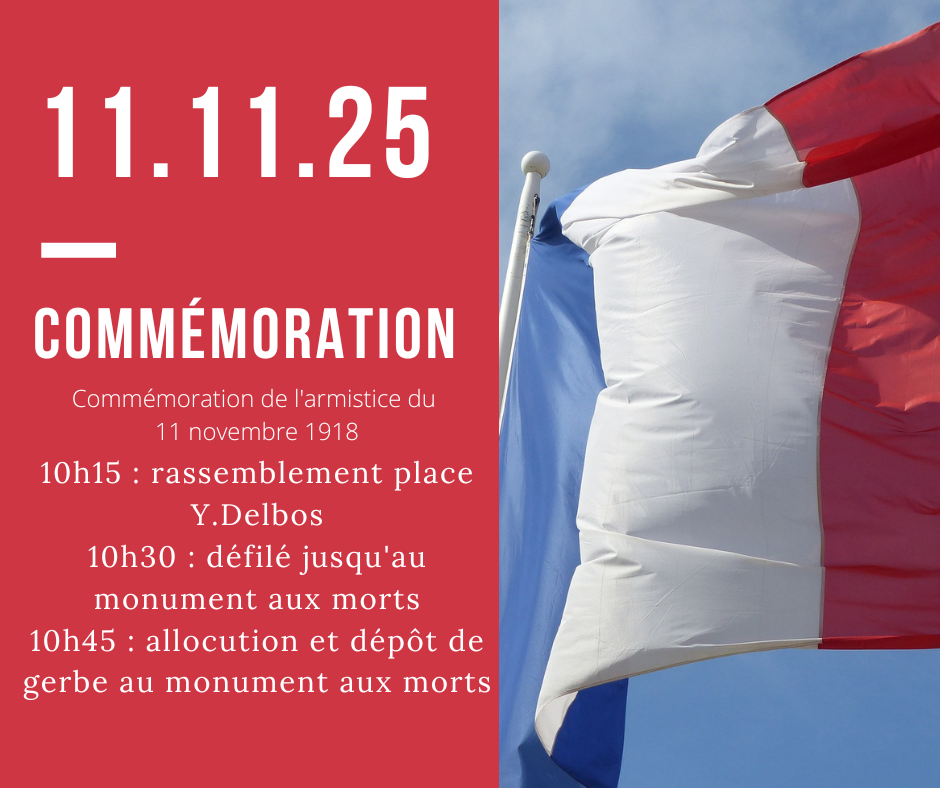 11 novembre