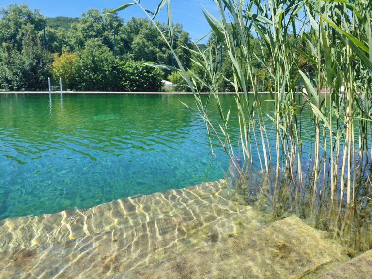 Baignade Biologique