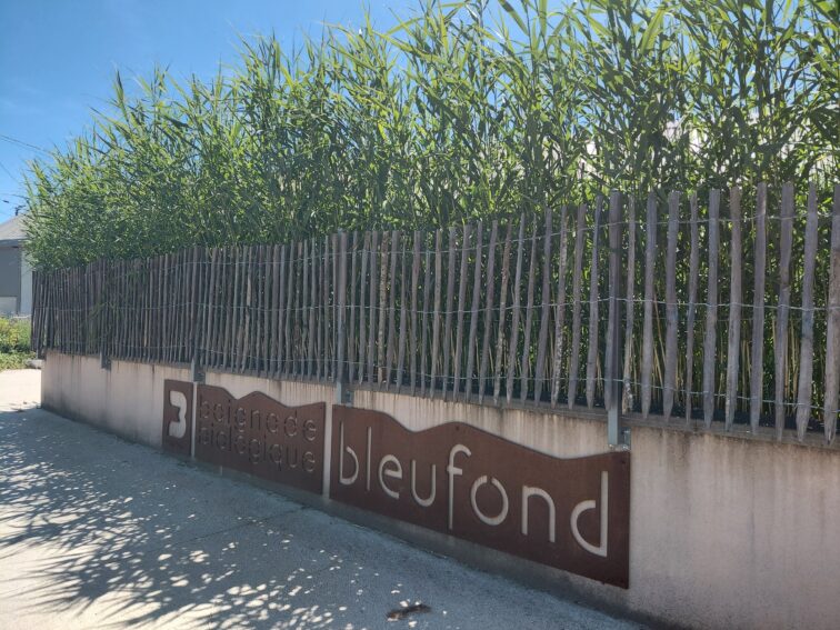 Baignade Biologique