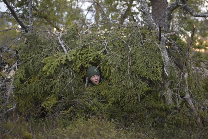 17 JUILLET au Château de Biron : « LE CHANT DES FORÊTS »