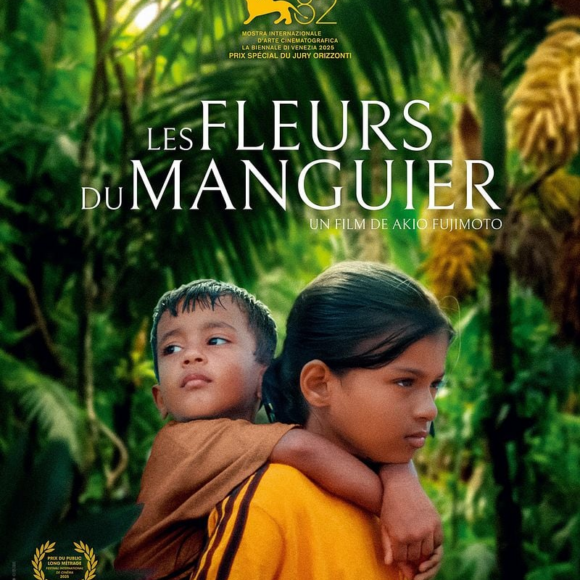 Les fleurs du manguier